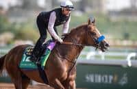 Mucho Gusto, Halladay highlight Friday's graded stakes workers