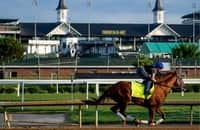 Mugatu is pointed to Preakness; see the updated probables list
