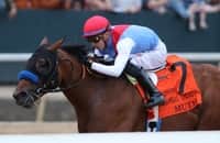 Muth is scratched from Preakness after spiking fever