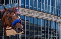 Decision waits on lawsuit to get Muth in Kentucky Derby