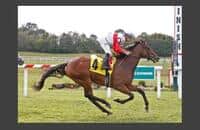 My Impression gets up with ease in One Dreamer