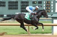 Romans 2-year old Not This Time powers to 10-length win at Ellis Park
