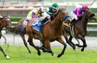 French-bred Wekeela Headlines the Gamely (G1) at Santa Anita