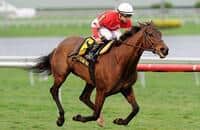 Naples Bay Brings $3.6 Million on Day 1 of Keeneland November Sale