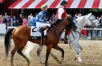 Whitney odds and analysis: Who can beat National Treasure?