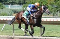 Monmouth Park: Neoequos drops in class, wins Jersey Shore