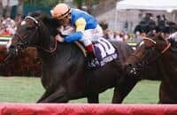 Ben Ali Includes Newsdad, Nikki's Sandcastle