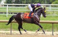 No Brakes not Slowing Down at Age 11