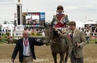 No Mo Dough closes with explosive burst in Sir Barton