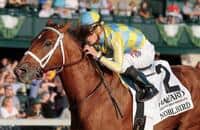 Noble Bird cruises to Track Record win in Fayette