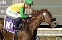 Om tries Eddie D. in hopes to get back in winner's circle