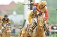Classic Bloodlines Prominent in Travers
