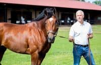 Churchill Downs' Stephen Foster night stakes take shape