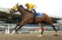 Woodbine: Patches O’Houlihan, My Boy Prince lead Highlander
