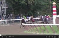 Undercover PETA probe reveals cruel treatment at the racetrack (VIDEO)