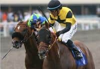 Awesome Gem Will Run in BC Marathon