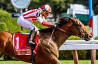 Best at one-turn, Practical Joke best in the Jerkens Memorial