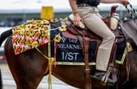 Preakness Stakes guide: Odds, analysis, PPs for Pimlico feature