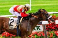 Grade 1 winner Preservationist dies at age 12 in South Korea