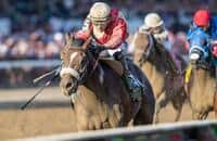 Grade 1 winner Preservationist retired to stud in Kentucky