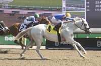 Woodbine: Queen Macha is among 11 going Saturday in Seaway