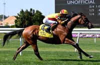 Queen Picasso stays undefeated with Soaring Softly win