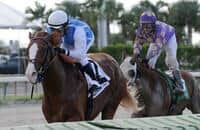 Ballet Diva, Rafting Prevail at Gulfstream Park West