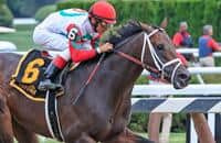 Full field signs on as Pimlico Special lengthens to 1 1/4 miles