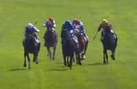 Rebel’s Romance wins in Germany, is on to North America