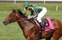 Red Vine Searches for First Career Graded Score in Westchester