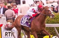 Redwood Kitten Heads Wide Open Jefferson Cup