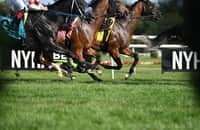 Prospect Watch: Follow these 33 blue-blooded newcomers