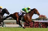 Japan: Satono Reve starts his 2025 with Grade 1 sprint victory