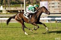 Scooter Bird Overcomes Slow Pace at Santa Anita