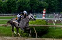 Zipse: Preakness result further muddles 3-year-old division