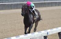 Seymourdini dominates throughout in State Dinner