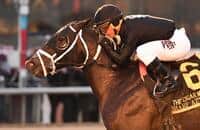 Sharp Azteca wins HRN Horse of the Week in another runaway