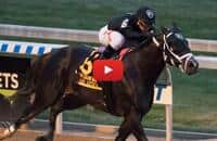 HorseCenter - First look at Pegasus World Cup 2018