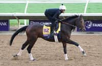 2024 BREEDERS' CUP まとめセット Breeders' Cup 2024 Top Picks and Long Shots on HorseCenter