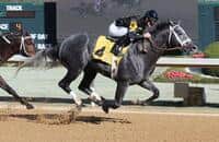 Lukas says Silver Bullion will make next start in Rebel 