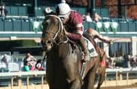Silver State ready for a return to stakes racing in the Fifth Season