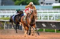 BELMONT AT AQUEDUCT ENTRIES AND RESULTS FOR TODAY: INSIDE THE WORLD OF HORSE RACING