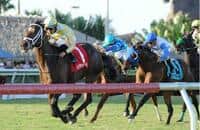 Sky Flight takes inaugural Artie Schiller