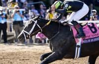 Soul of an Angel sells for $2.6 million to Australia stud farm