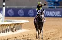 Van Dyke will be suspended 2 days, pay fine for crop violation