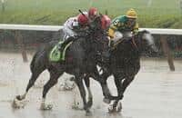 Finding the Best Betting Race on Belmont's Super Saturday Card