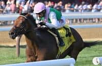 Saratoga: Spiced Up looks sage in stretch to win Mahony