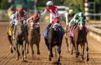 Breeders' Cup Dirt Mile winner Spun to Run to stand at Gainesway
