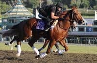 Square Eddie well represented in CTBA Stakes