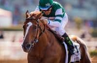 Report: Stellar Wind to breed with Galileo, not American Pharoah